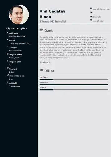 Ziraat Mühendisi Cv Örnekleri cv indir